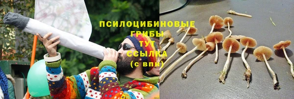 ешки Россошь