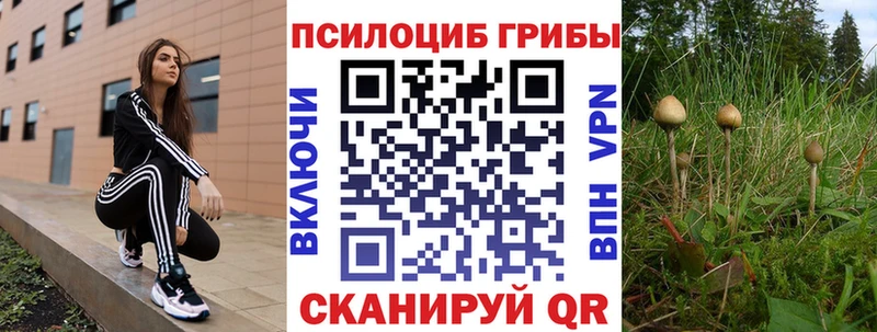 Псилоцибиновые грибы мухоморы  Фрязино 
